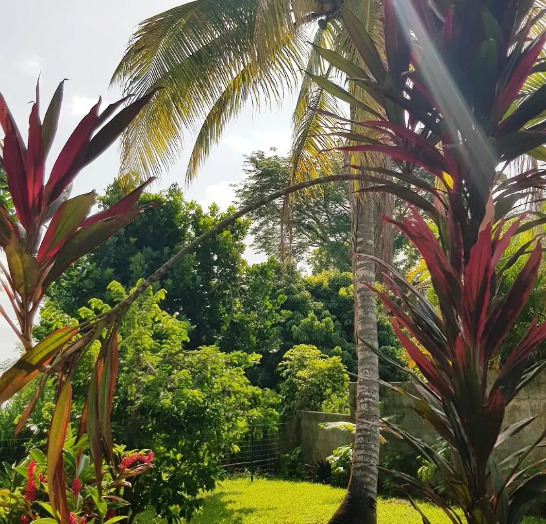 Ti Kaz Location Vue Mer Sainte-Rose Guadeloupe